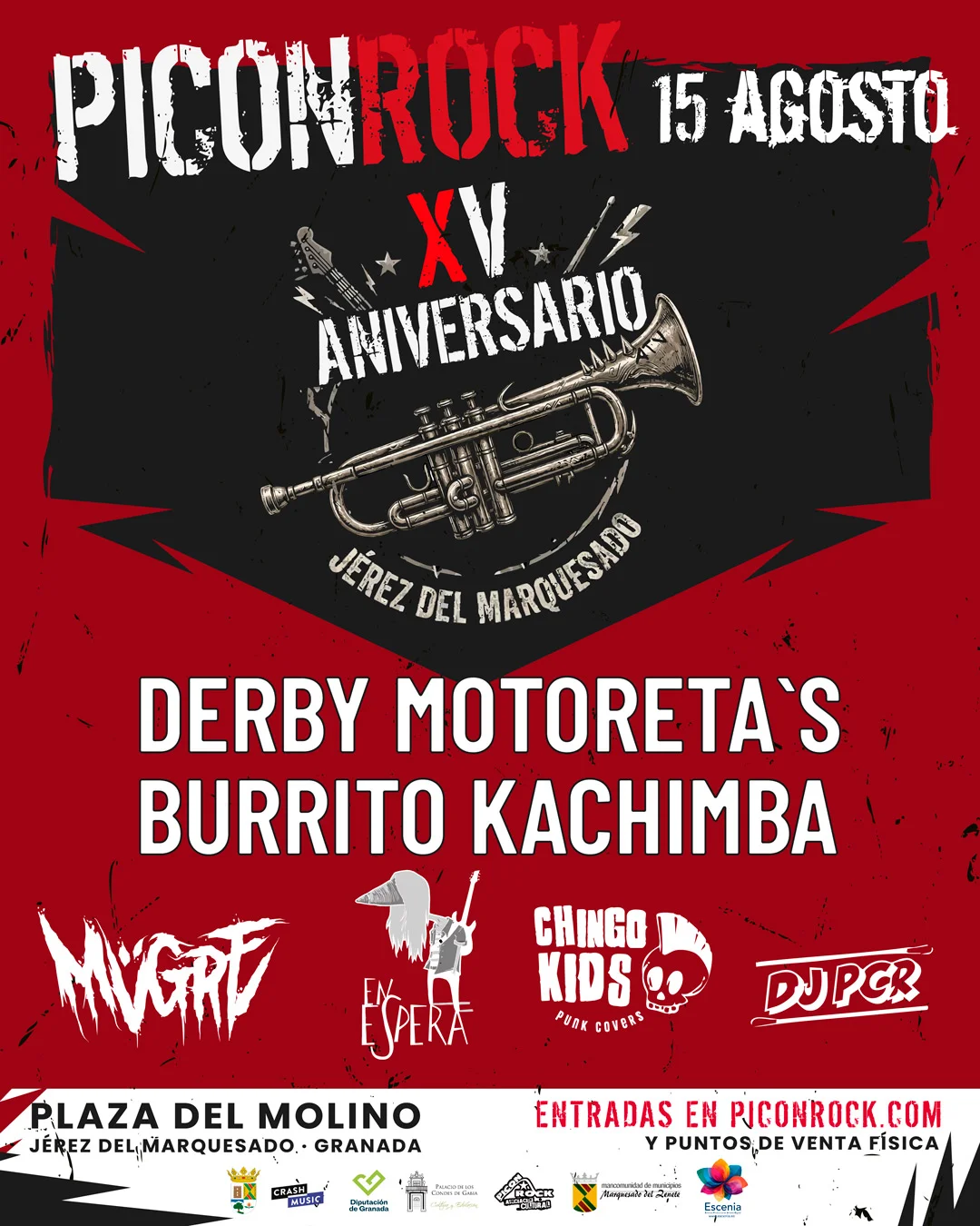 Cartel oficial Piconrock XV